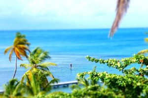 Inflatable Paddle Boards: Navigating Trends, Safety, and Accessories for Optimal Water Sports Experience