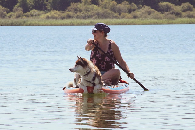 inflatable-paddle-board-640x480-4903134.jpeg