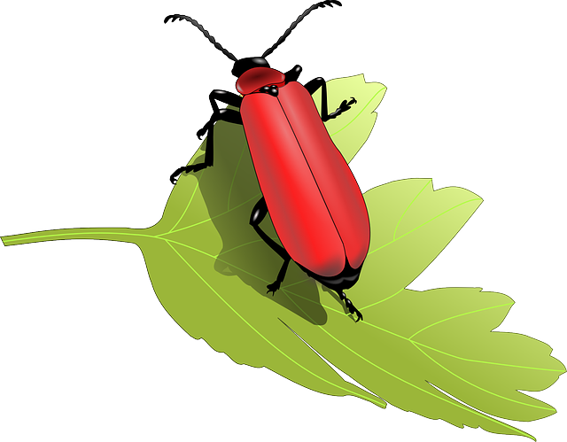 insect control services