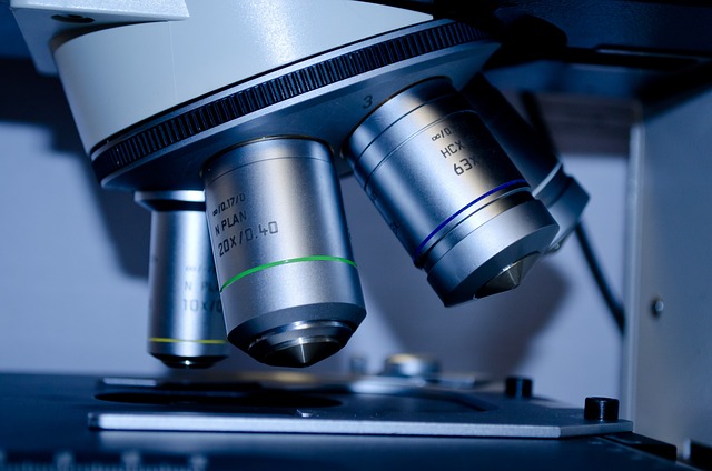 Keyword Research and Optimization