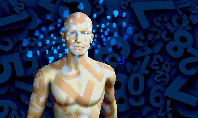 Keyword Research and Optimization