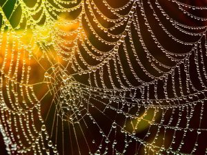 latest-web-design-trends-640x480-16335947.jpeg