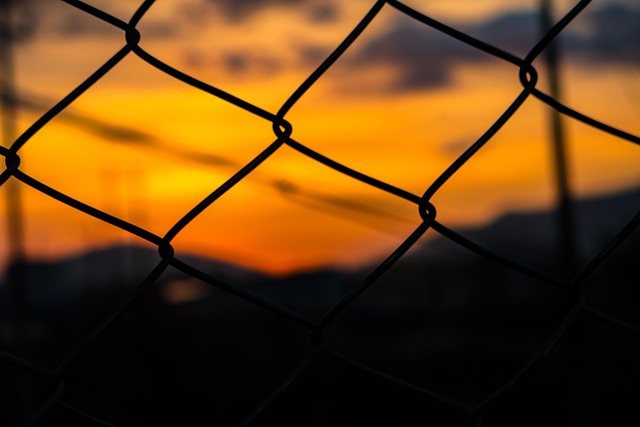 Link Building