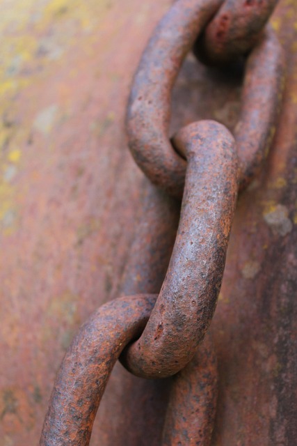 Link Building