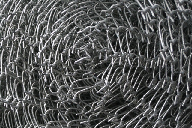 Link Building