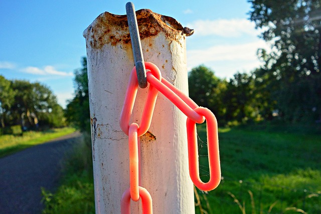 Link Building