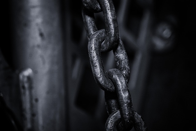 Link Building