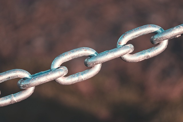 Link Building