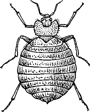 local-exterminator-640x480-32381904.png