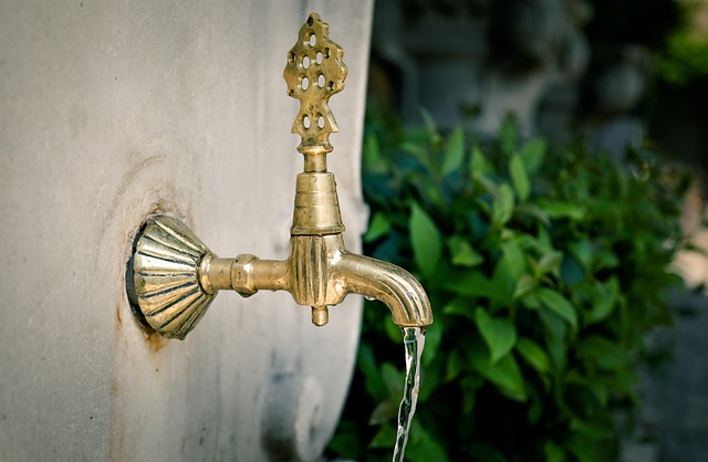 local plumbing services
