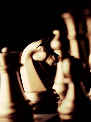 Marketing Leadership Summit: Strategies for Local Business Success