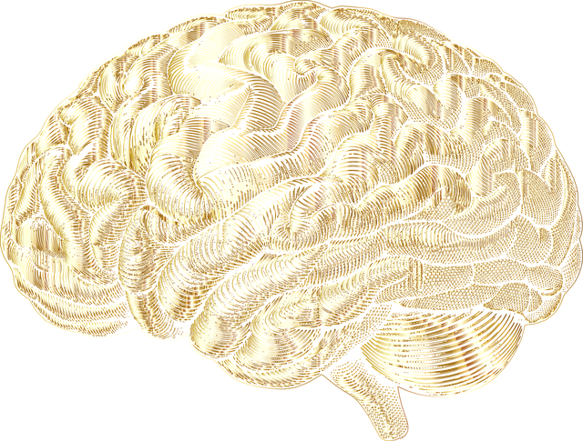 mental health psychotherapy