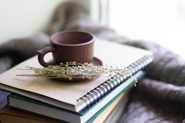 mental health psychotherapy