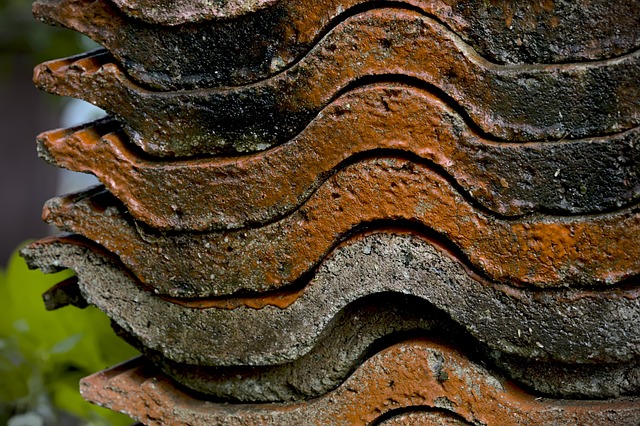 Metal Roofing