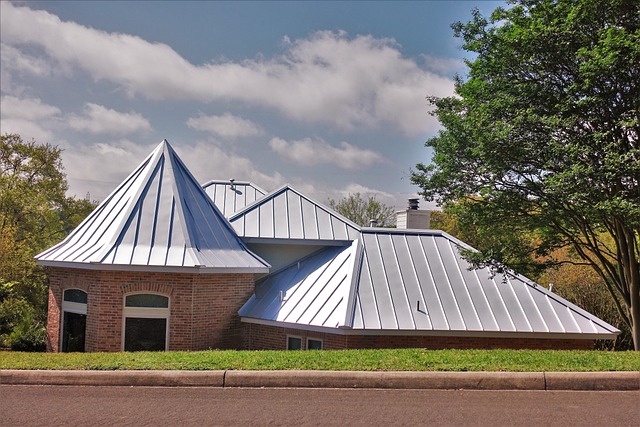 Metal Roofing