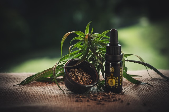 Mint Flavored CBD Tincture