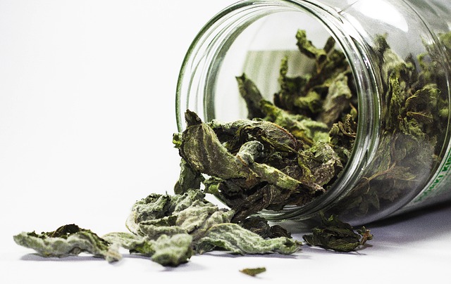 Mint Flavored CBD Tincture