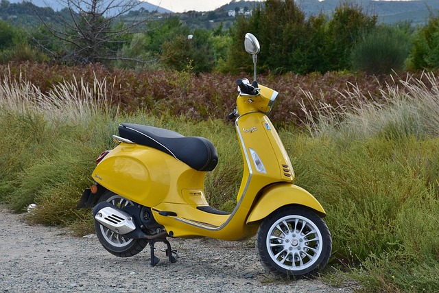 mopeds for sale