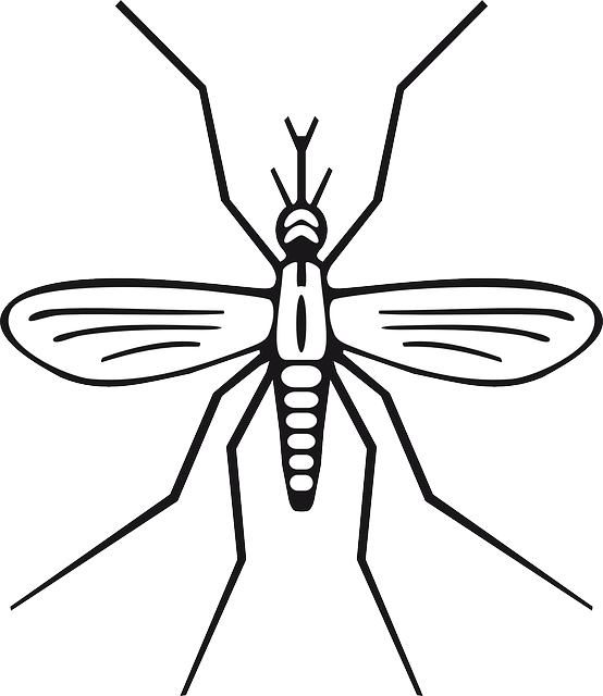 Mosquito Control