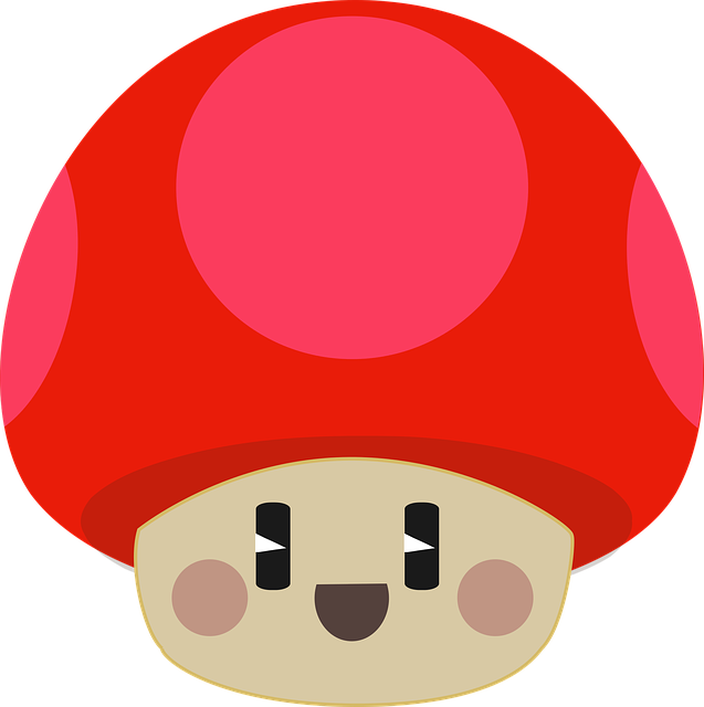 Mushroom Gummies for Focus