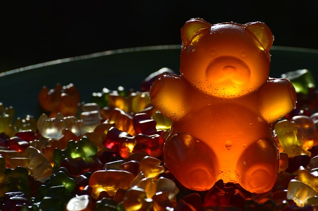 Mushroom Gummies for Focus