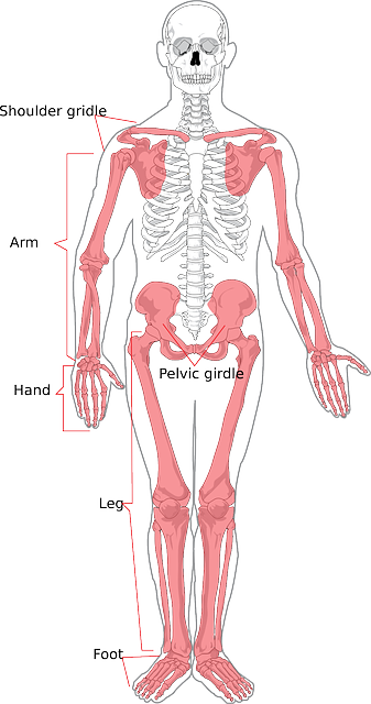 Non-Surgical Body Contouring