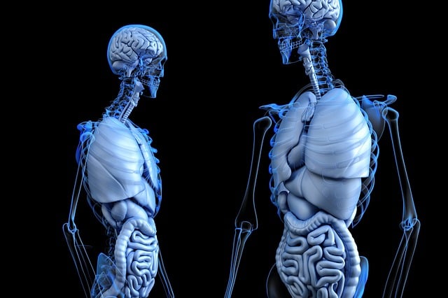 Non-Surgical Body Contouring