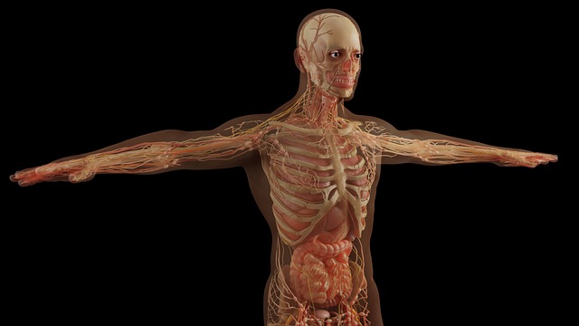 Non-Surgical Body Sculpting