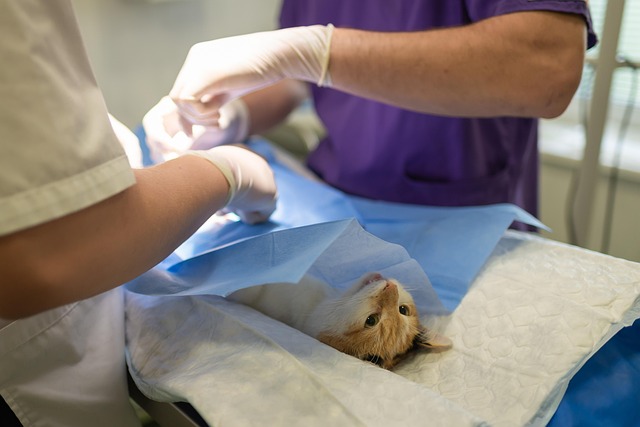 Non-Surgical Treatments