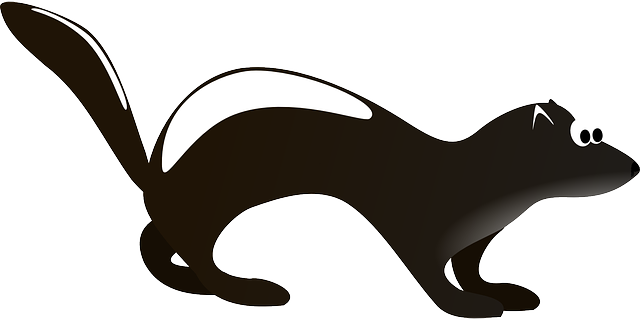 odor-removal-640x480-35891362.png
