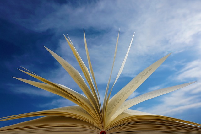 On-Page Optimization Training
