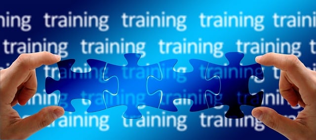 On-Page Optimization Training
