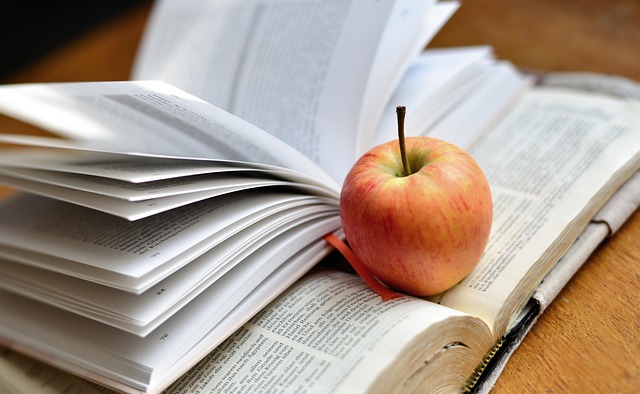 On-Page Optimization Training