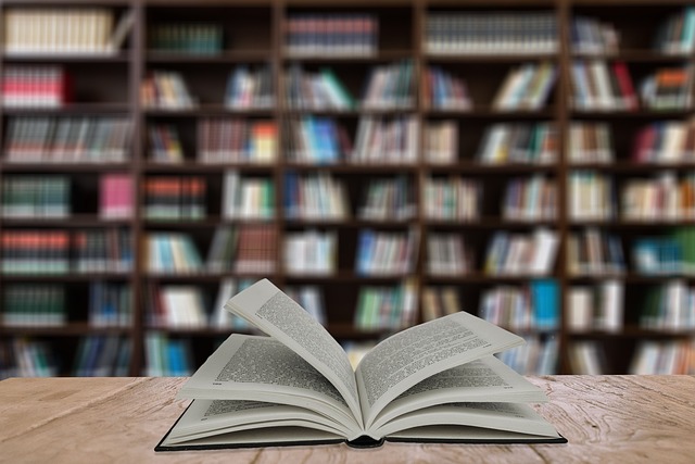 On-Page Optimization Training