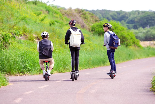 OneWheel electric board