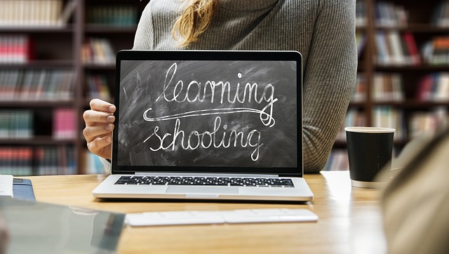 Online SEO Training