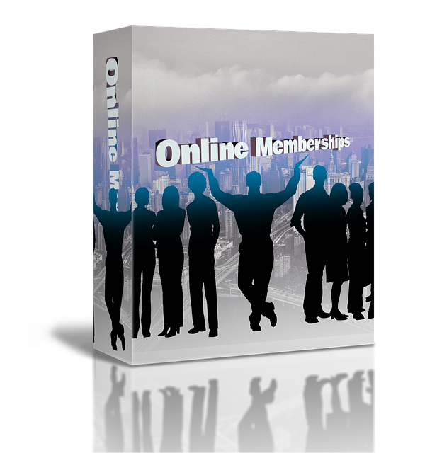 Online SEO Training