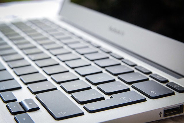 Online SEO Training