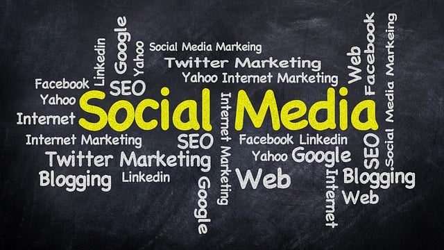Online SEO Training