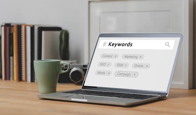 Online SEO Training