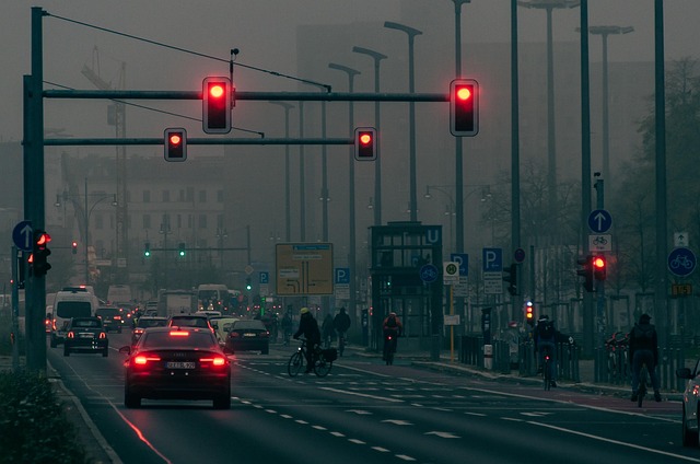 Organic Traffic