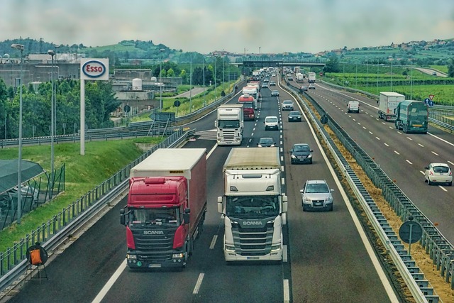 Organic Traffic