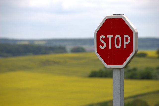 Organic Traffic