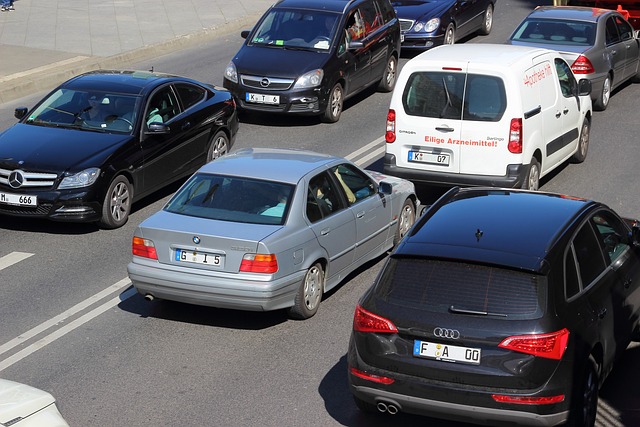 Organic Traffic