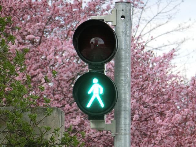 Organic Traffic