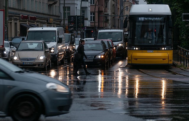 Organic Traffic