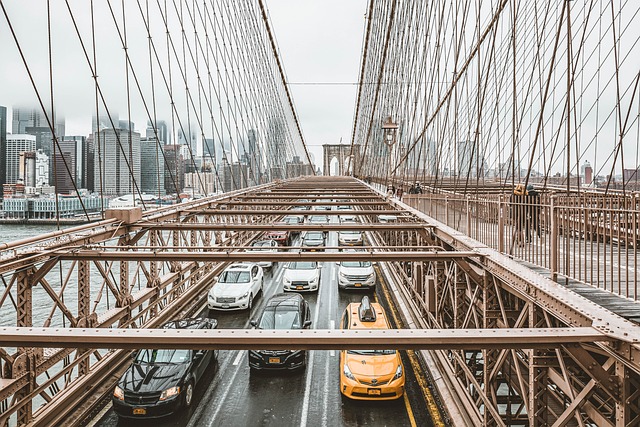 Organic Traffic
