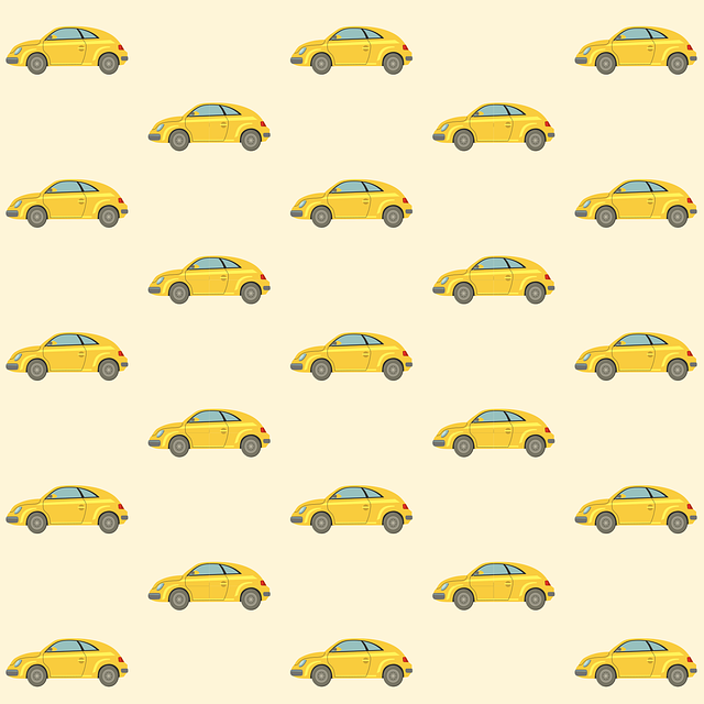 Organic Traffic
