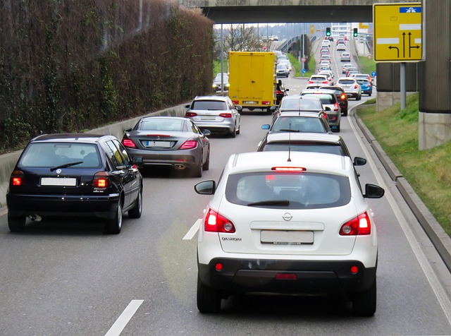 Organic Traffic