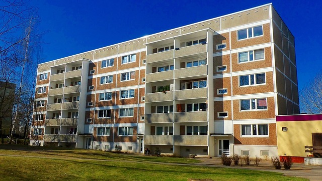 Pest Control for Apartments
